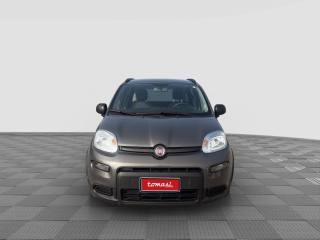 FIAT Panda Panda 1.0 firefly hybrid city life
