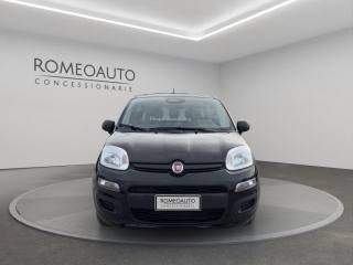 FIAT Panda usata, con Immobilizzatore elettronico