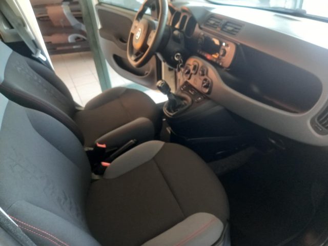 FIAT Panda usata, con Fendinebbia