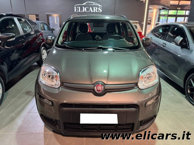 FIAT Panda usata, con Antifurto