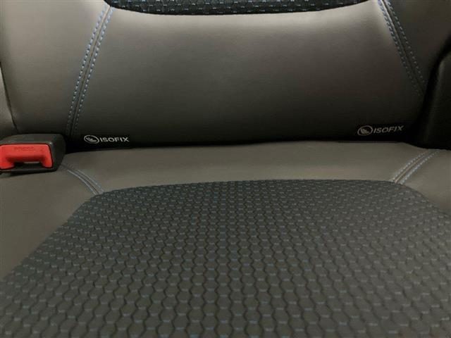 DACIA Spring usata 22