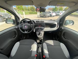 FIAT Panda usata, con Chiusura centralizzata