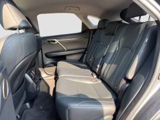 LEXUS RX 450h usata 10