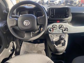 FIAT Panda usata, con USB