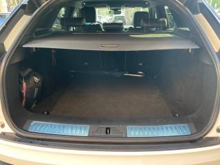 LAND ROVER Range Rover Velar usata, con Fendinebbia