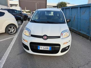 FIAT Panda usata, con Controllo trazione
