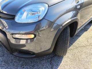 FIAT Panda usata 12