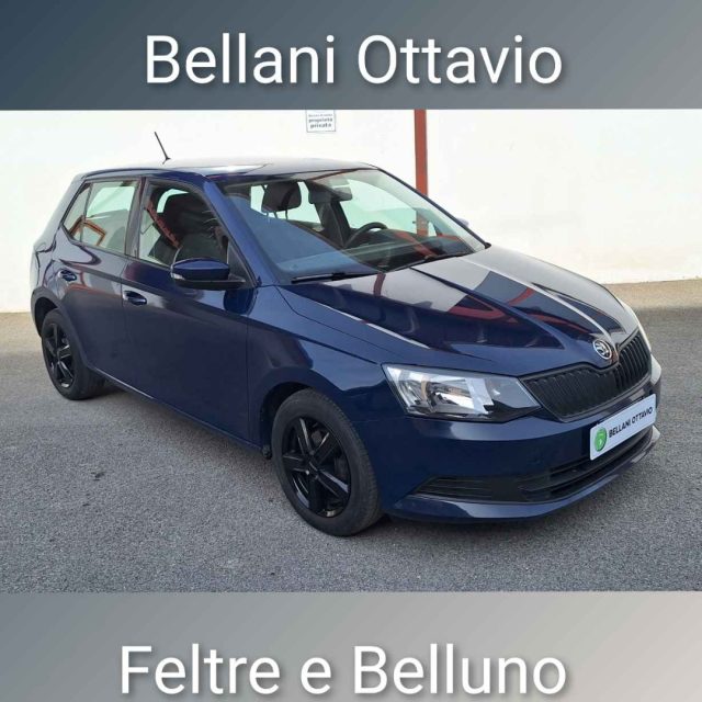 SKODA Fabia usata, con ABS
