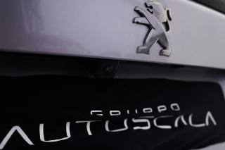 PEUGEOT 2008 usata, con Airbag testa