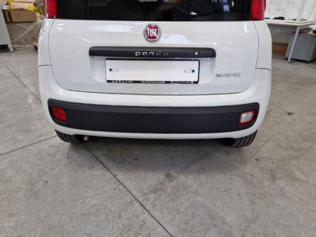 FIAT Panda usata, con Alzacristalli elettrici