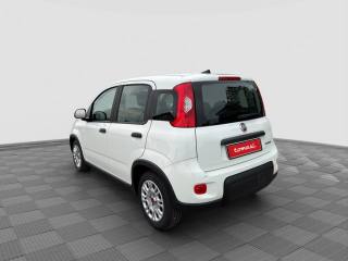 FIAT Panda usata 2