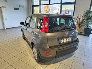 FIAT Panda usata, con Antifurto
