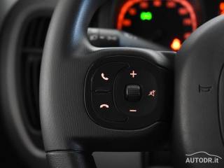 FIAT Panda usata 29