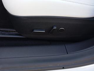 TESLA Model 3 usata, con Fendinebbia