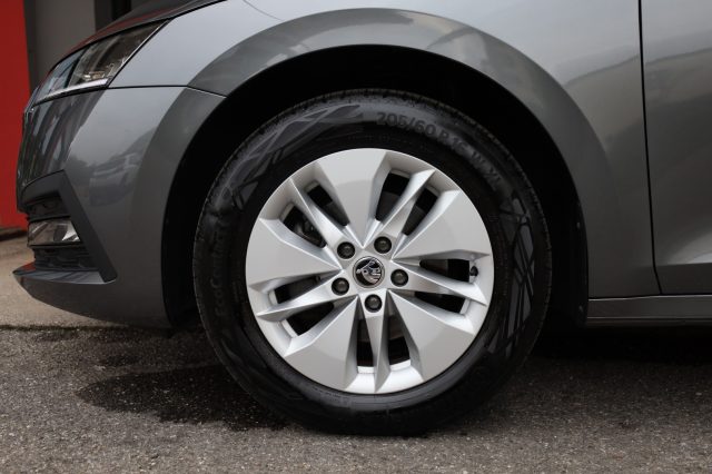 SKODA Octavia usata 165