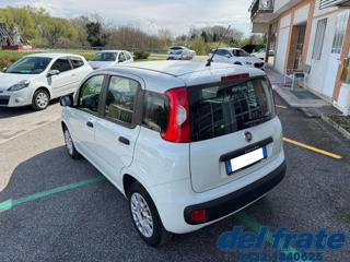 FIAT Panda usata, con Airbag Passeggero