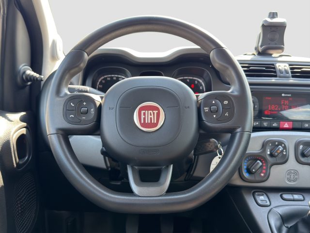 FIAT Panda usata 12