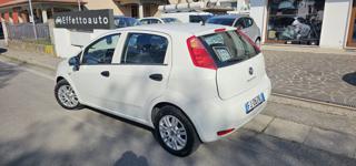 FIAT Punto usata, con Airbag Passeggero