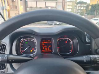 FIAT Panda Cross usata, con Controllo trazione