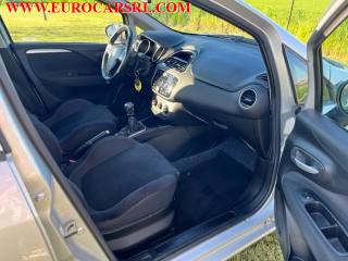 FIAT Punto usata 19