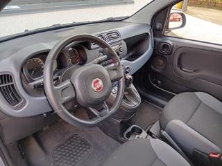 FIAT Panda usata, con Airbag testa