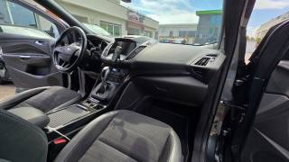 FORD Kuga usata, con Cruise Control