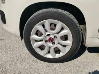 FIAT Panda usata, con Airbag testa