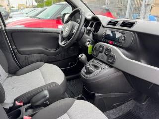 FIAT Panda usata, con Cronologia tagliandi