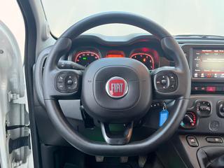 FIAT Panda Cross usata, con ESP