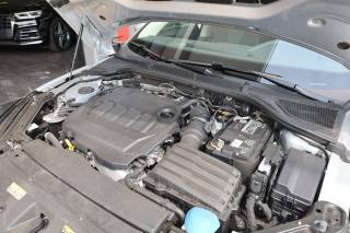 SKODA Octavia usata 171