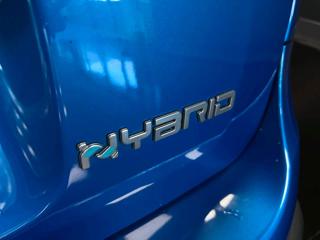 FIAT Panda Cross usata, con Servosterzo