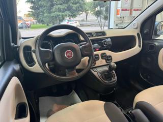 FIAT Panda usata, con Servosterzo