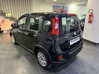 FIAT Panda usata, con Chiusura centralizzata
