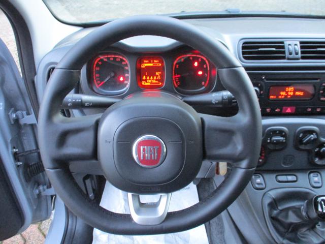 FIAT Panda usata 12