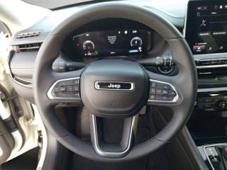 JEEP Compass usata, con Fendinebbia