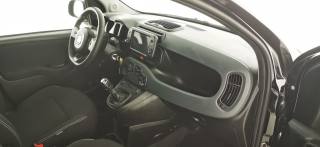 FIAT Panda Cross usata 47