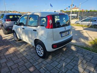 FIAT Panda usata, con Airbag Passeggero