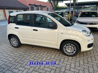 FIAT Panda usata, con Airbag