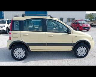 FIAT Panda usata 19