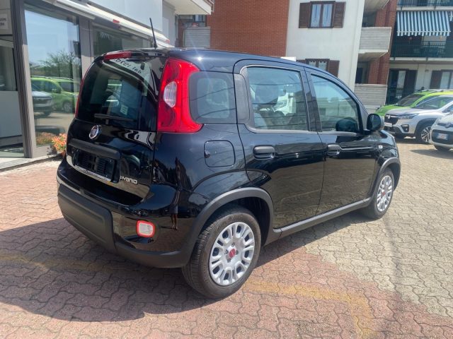 FIAT Panda usata, con Antifurto