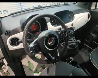 FIAT 500 usata 5