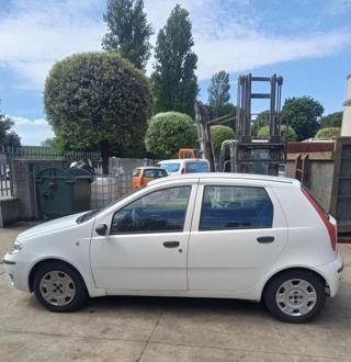FIAT Punto usata 2