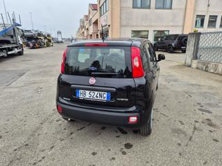 FIAT Pandina usata, con Chiusura centralizzata