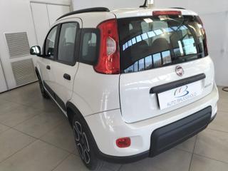 FIAT Panda usata, con Alzacristalli elettrici