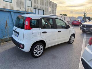 FIAT Panda usata, con Alzacristalli elettrici
