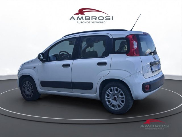 FIAT Panda usata 3
