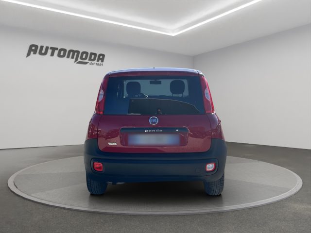 FIAT Panda usata, con Controllo trazione