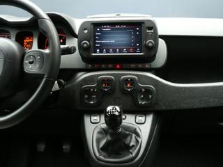 FIAT Panda Cross usata, con Fendinebbia