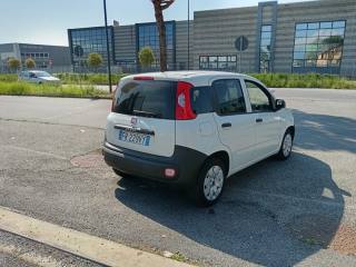 FIAT Panda usata, con Controllo trazione
