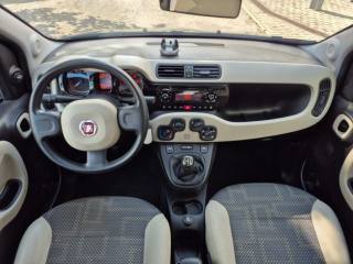 FIAT Panda usata, con Climatizzatore